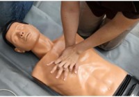 hands only cpr training dummy