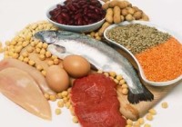 protein rich diet